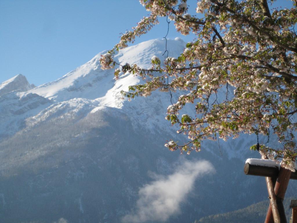 Hotel-Gasthof Nutzkaser Ramsau bei Berchtesgaden Exteriör bild