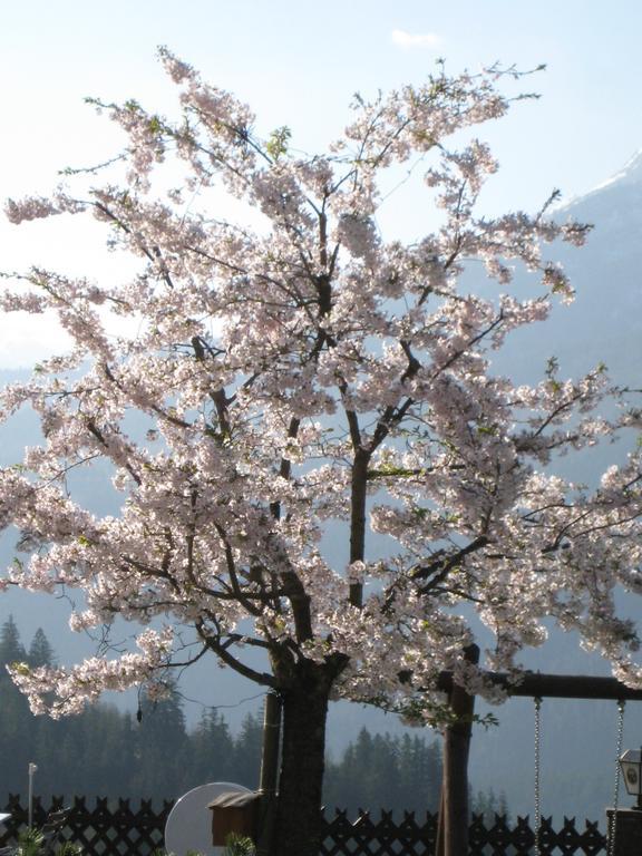 Hotel-Gasthof Nutzkaser Ramsau bei Berchtesgaden Exteriör bild